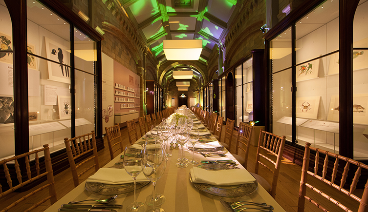 The Images of Nature gallery at the Natural History Museum, ready for an event