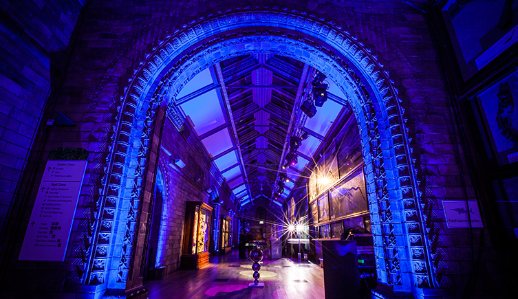 The Natural History Museum's Waterhouse Way, decorated for an event