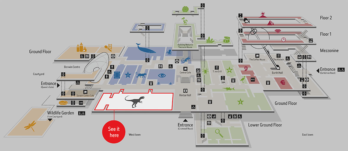 Map of the Museum highlighting the Dinosaurs gallery.