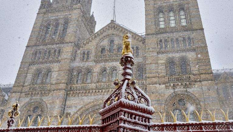 The front exterior of the Natural History Museum while snowing