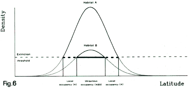 a marginal mosaic model